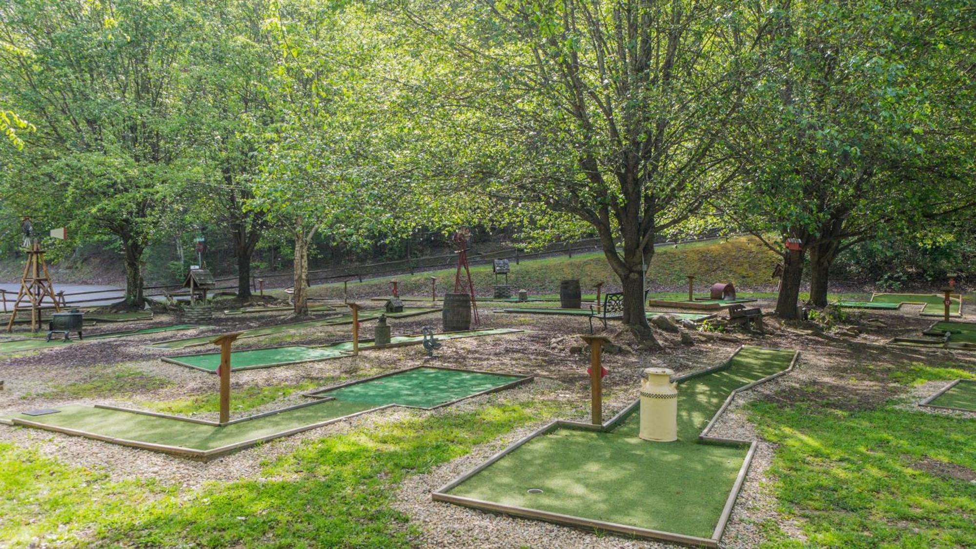 הוילה סביירוויל Yoli Bear Hideaway מראה חיצוני תמונה